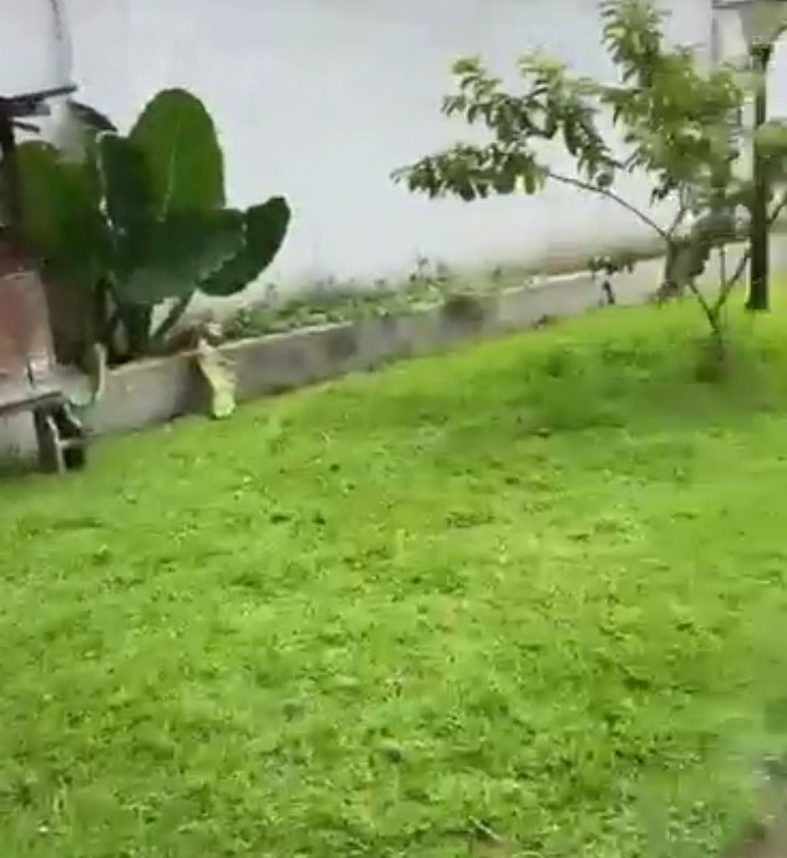 Parcelle-Terrain à Vendre – Gombe, Kinshasa