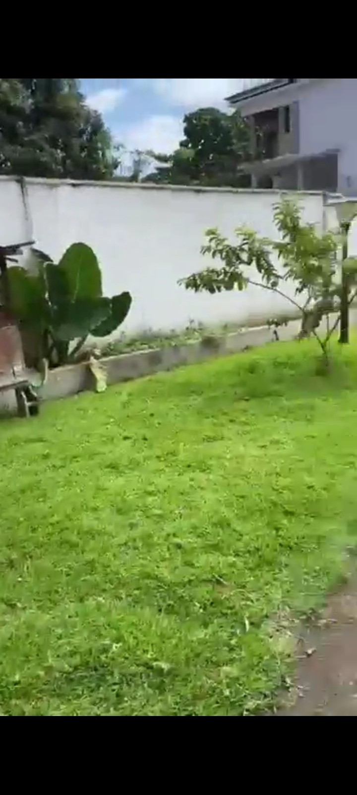 Parcelle-Terrain à Vendre – Gombe, Kinshasa