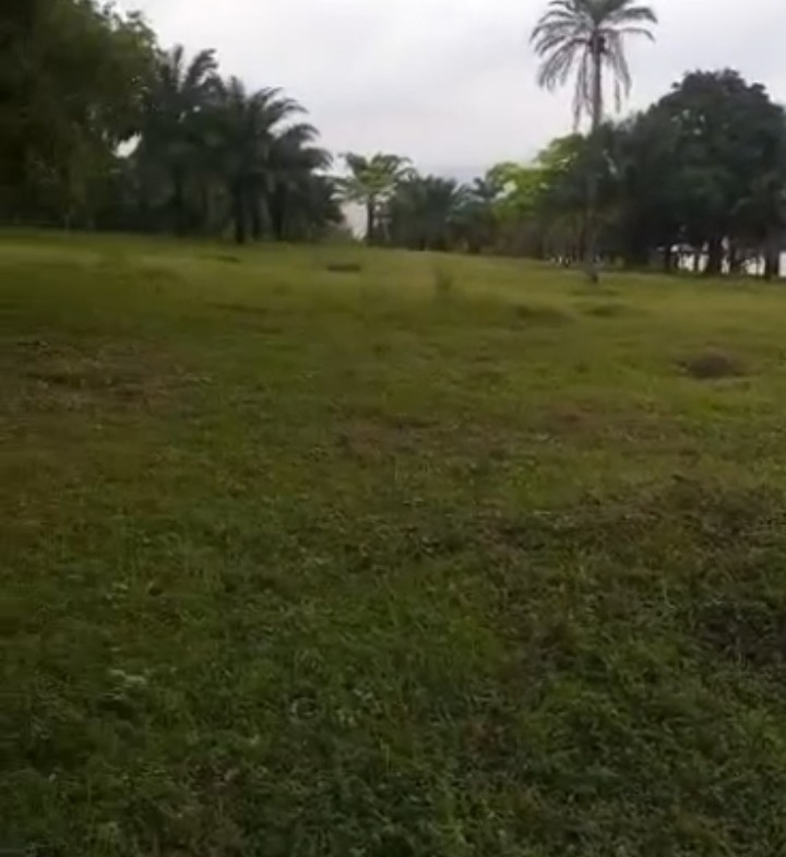 Parcelle-Terrain à Vendre – Maluku, Kinshasa