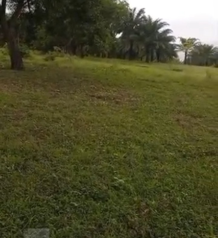 Parcelle-Terrain à Vendre – Maluku, Kinshasa
