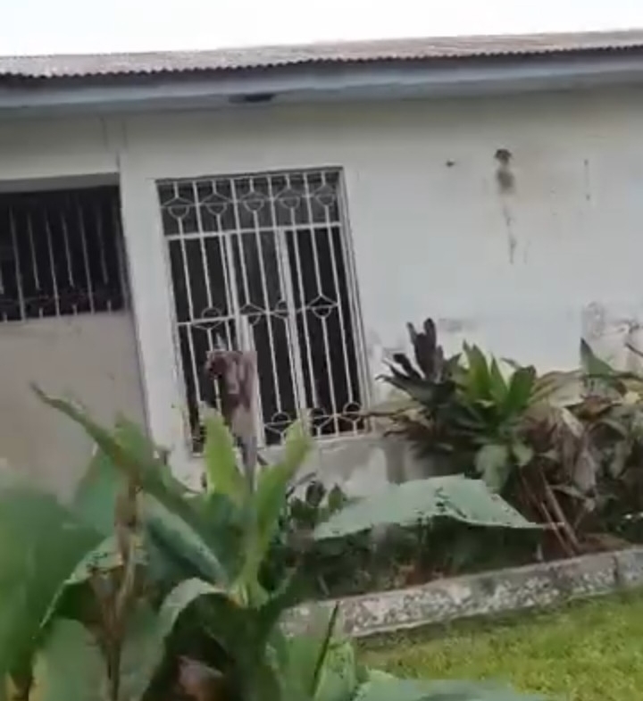 Villa à Vendre – Gombe, Kinshasa