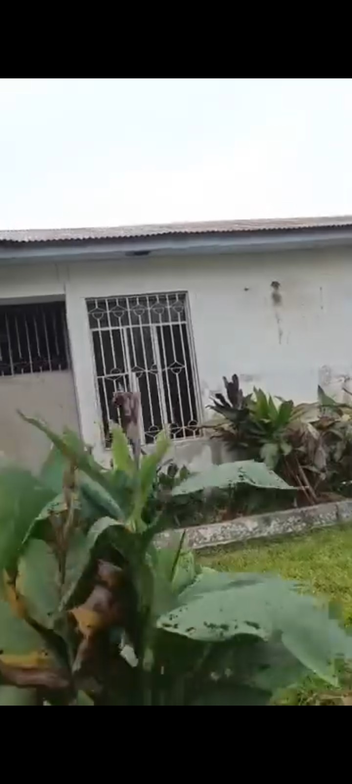 scaled_485700 Villa à Vendre – Gombe, Kinshasa