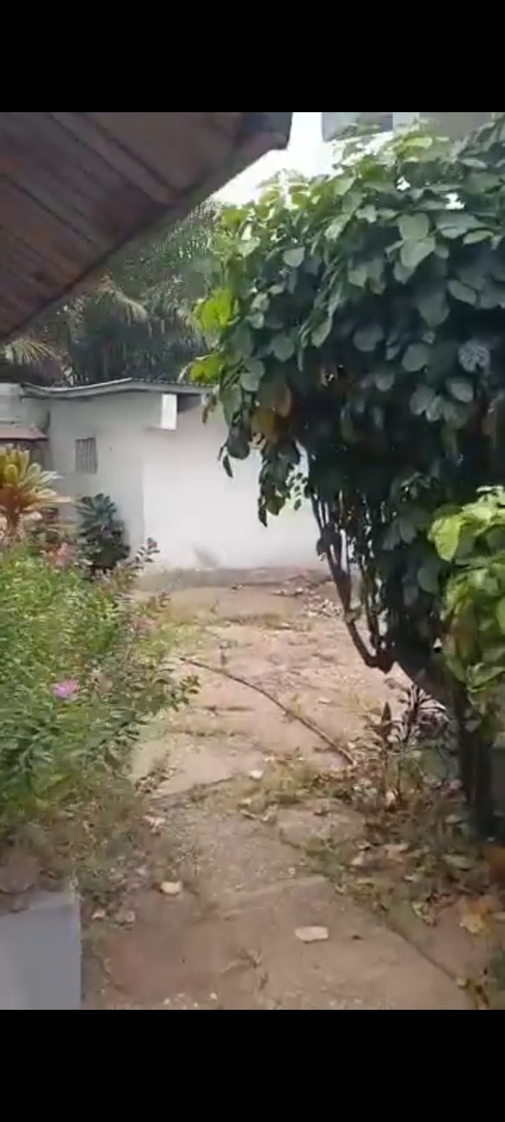 scaled_485720 Villa à Vendre – Gombe, Kinshasa