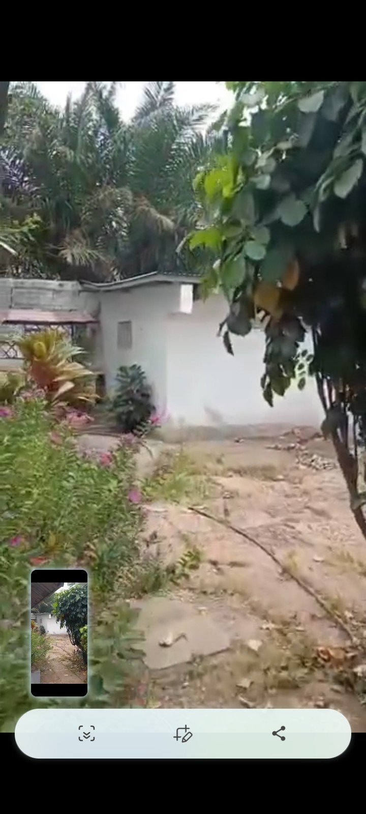 scaled_485722 Villa à Vendre – Gombe, Kinshasa