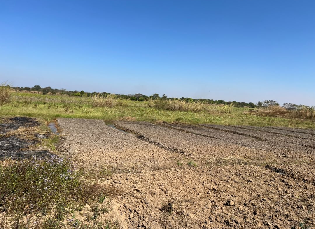10 Hectares a vendre ville de Lubumbashi