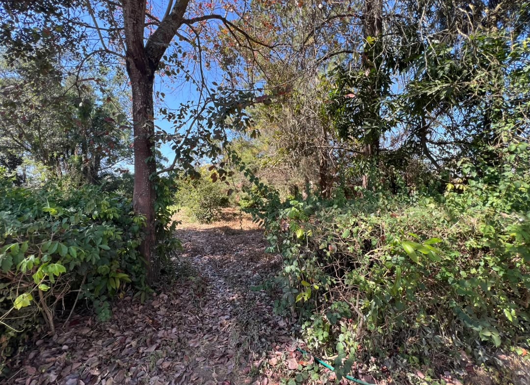 10 Hectares a vendre ville de Lubumbashi