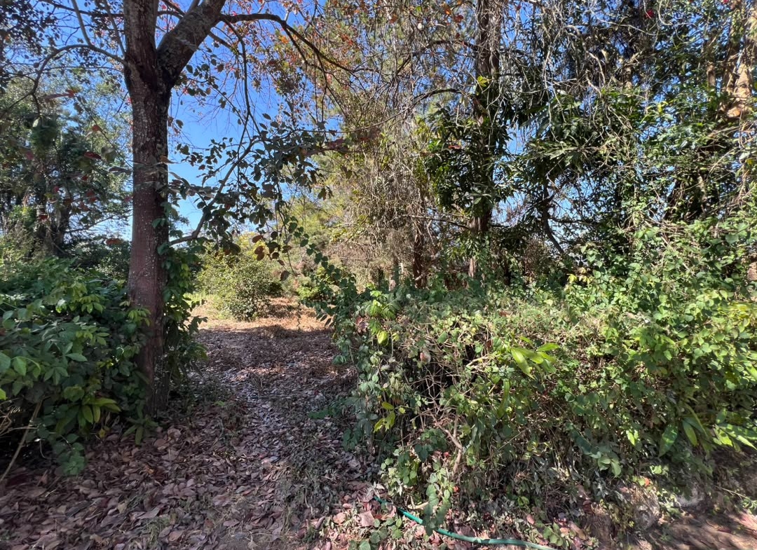 10 Hectares a vendre ville de Lubumbashi