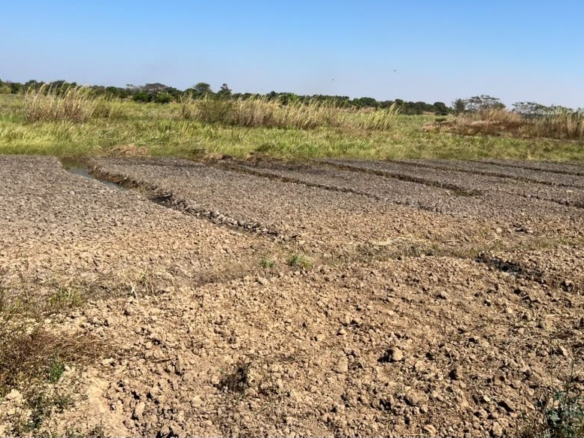 Ferme-concession à vendre – kafubu, lubumbashi