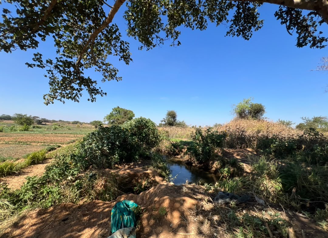 10 Hectares a vendre ville de Lubumbashi