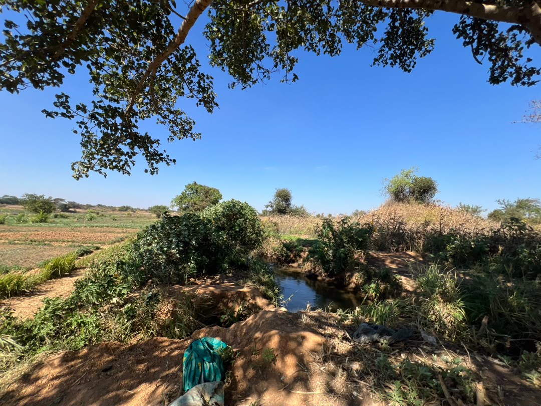 10 Hectares a vendre ville de Lubumbashi