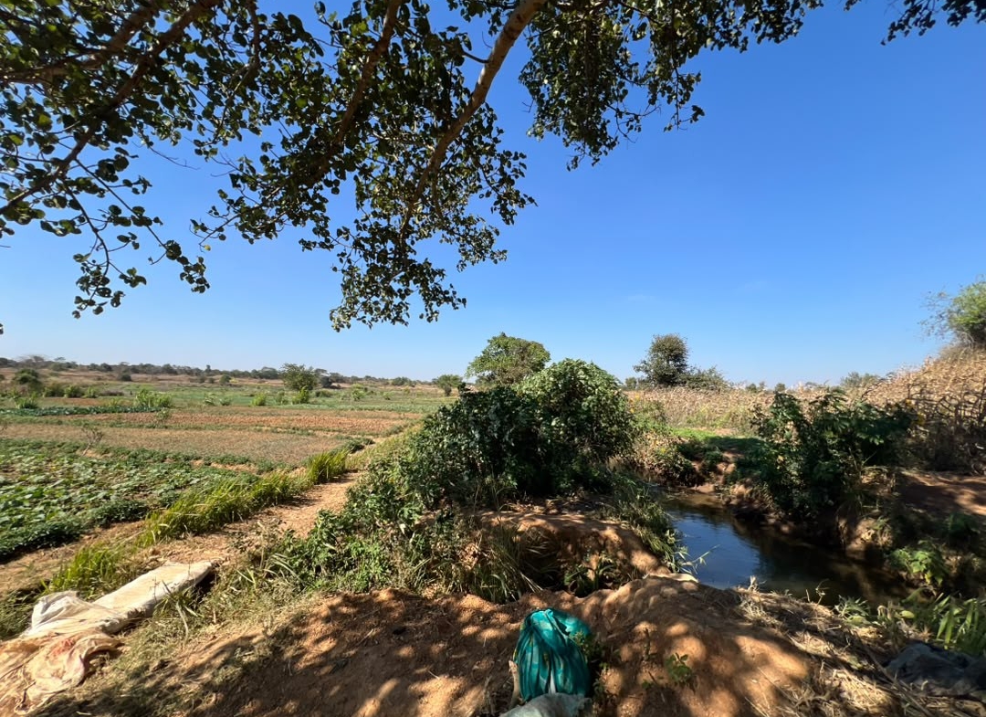 10 Hectares a vendre ville de Lubumbashi