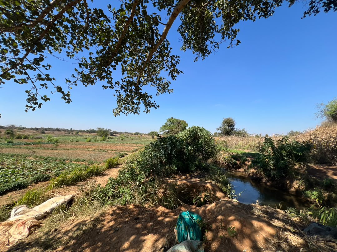10 Hectares a vendre ville de Lubumbashi