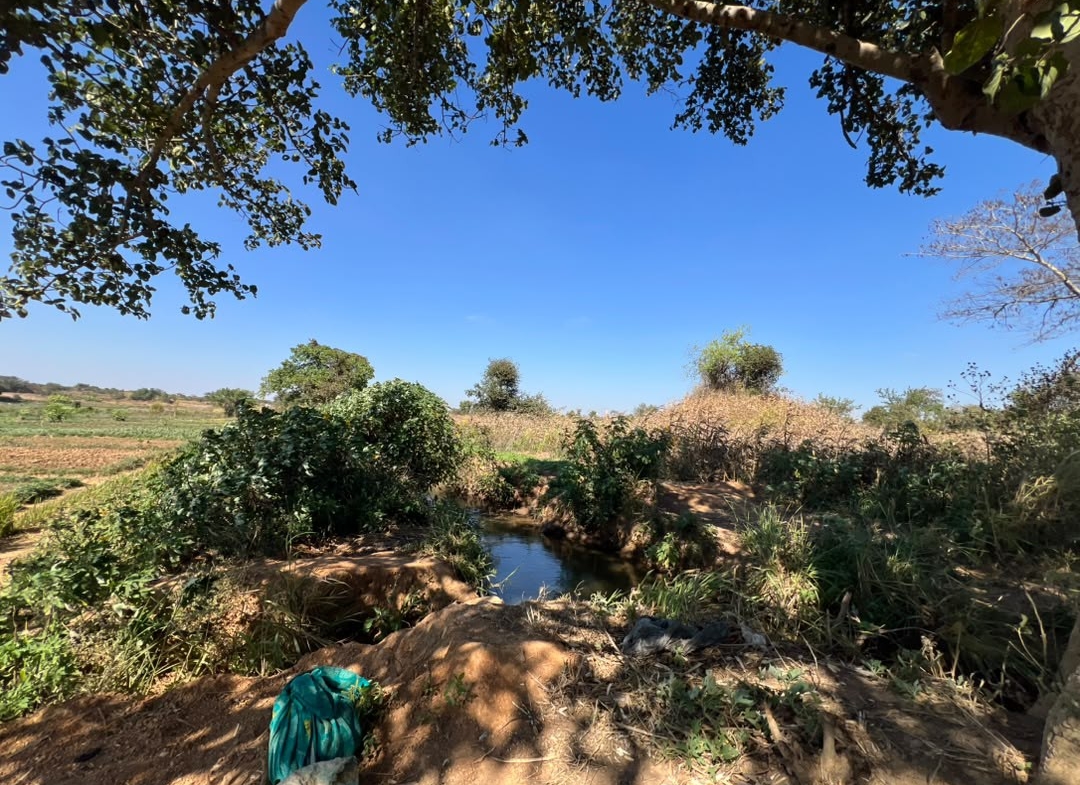 10 Hectares a vendre ville de Lubumbashi
