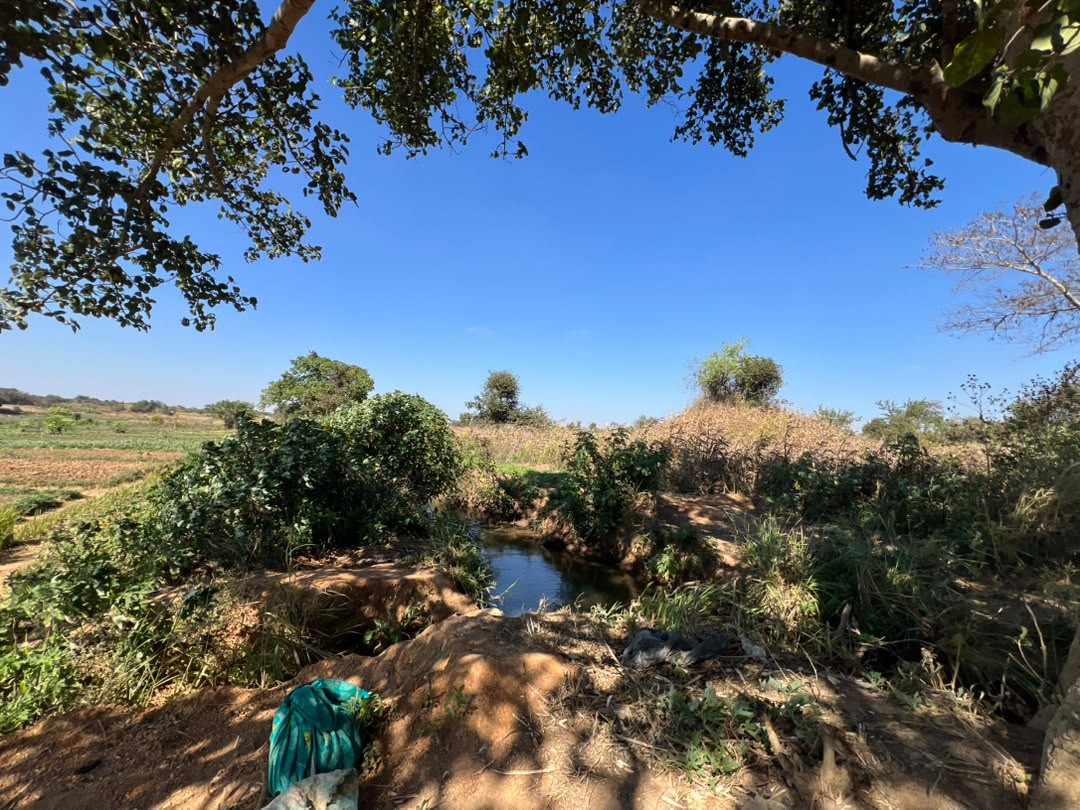 10 Hectares a vendre ville de Lubumbashi